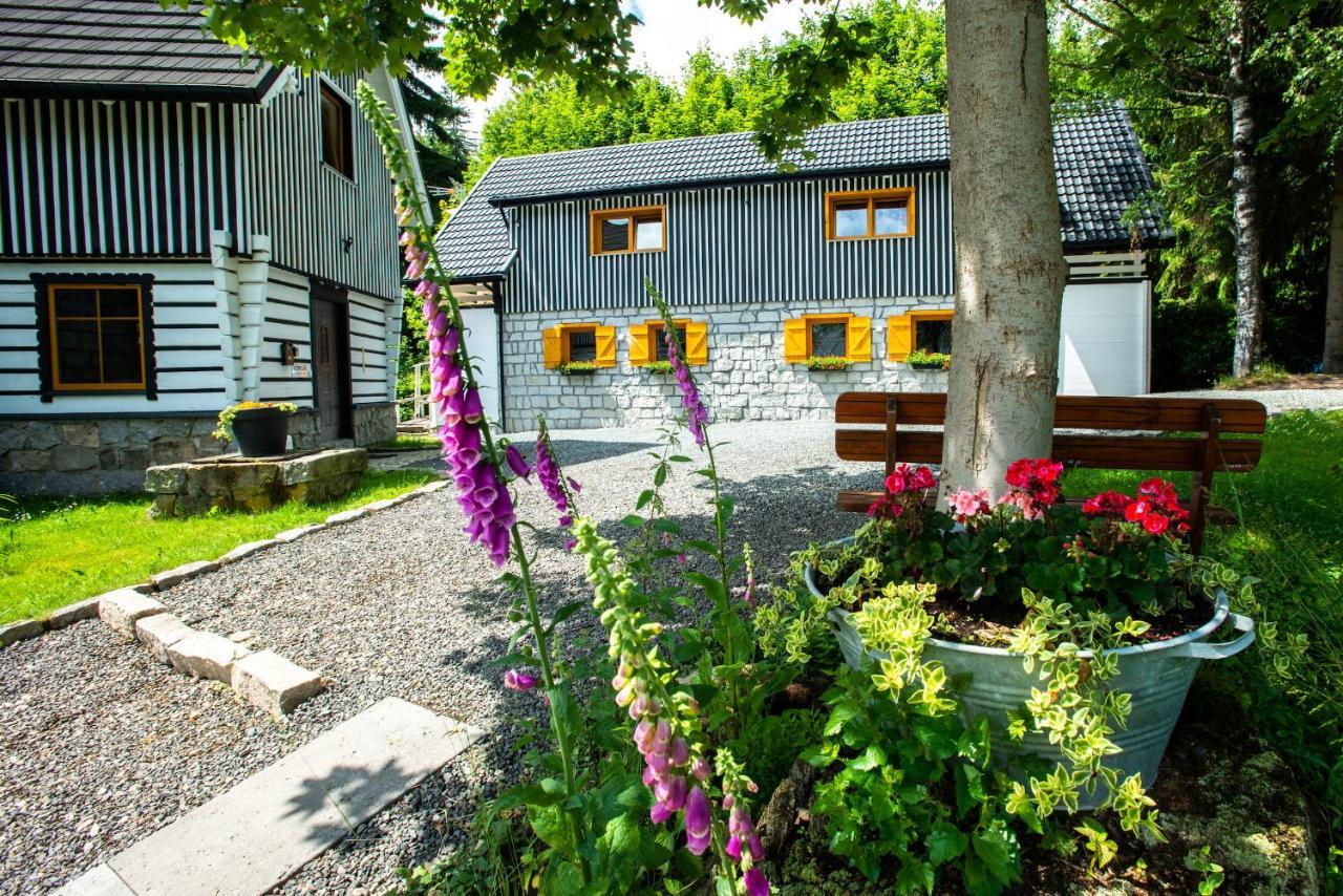 Holiday home Dom Stary Mlyn Nad Strumieniem Z Mozliwoscia Dostepu Do Sauny, Goracej Beczki, Basenem *